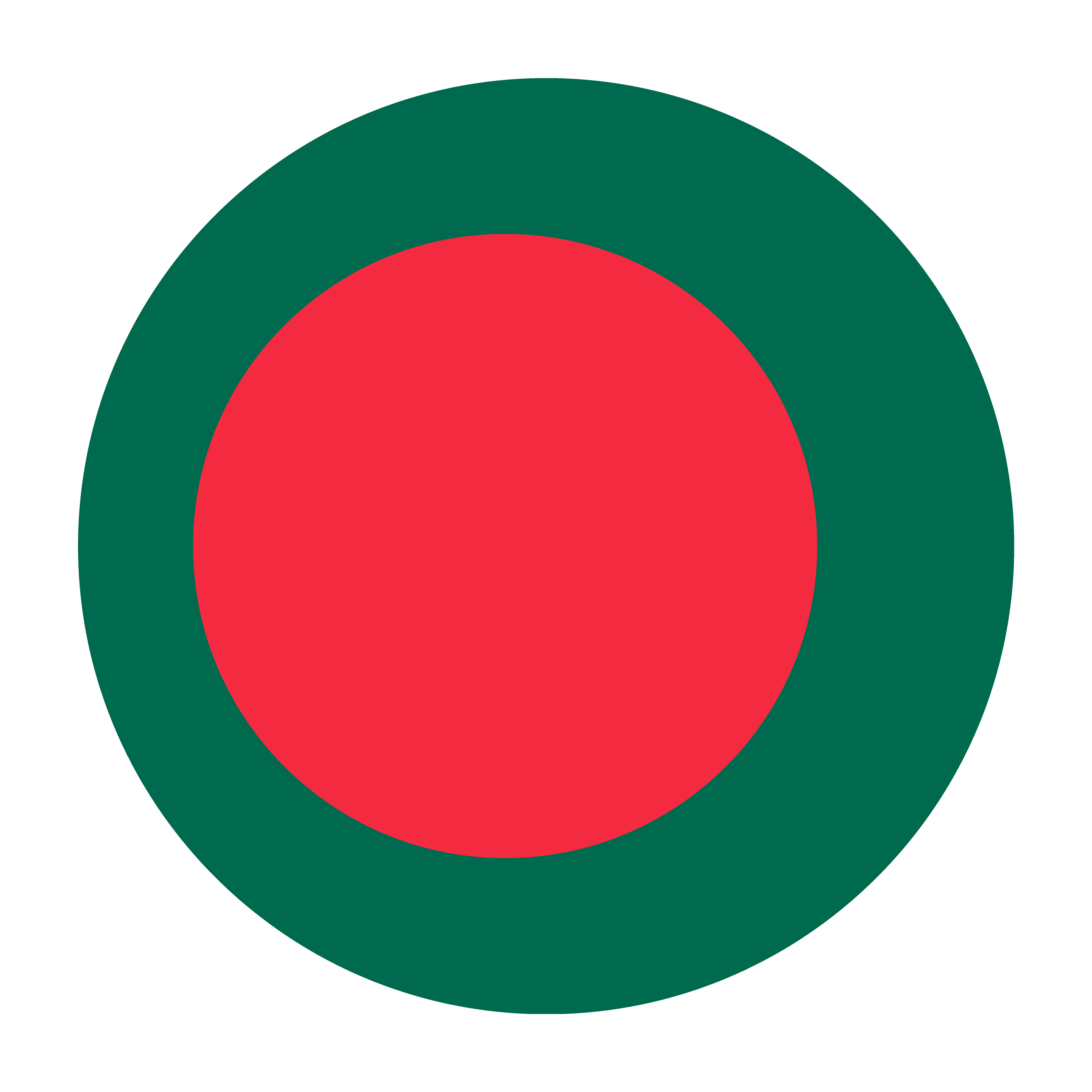 Web Hosting BDIX flag