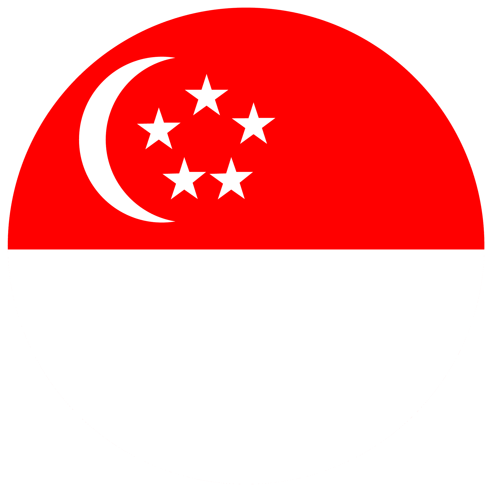 Web Hosting SG flag