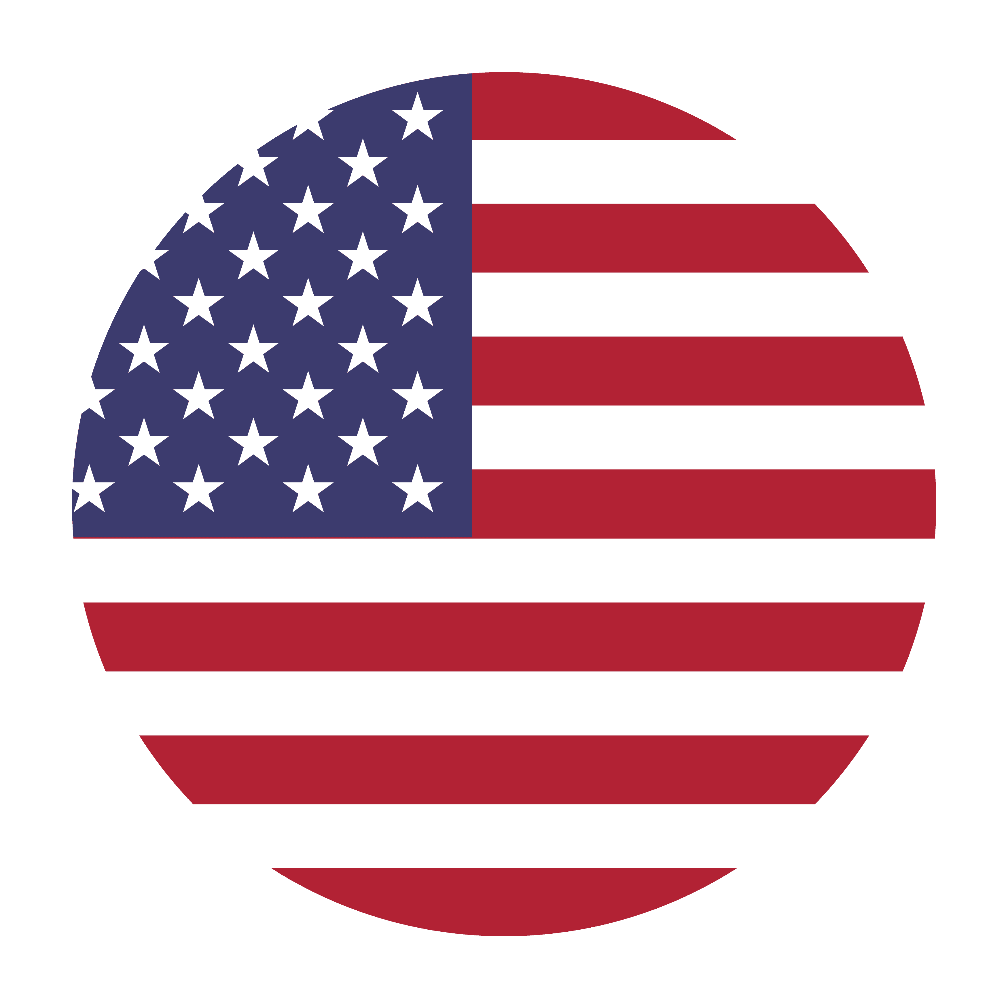 Web Hosting USA flag